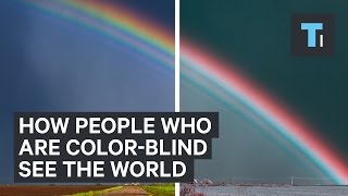 How people who are colorblind see the world [upl. by Also871]