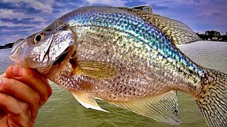 Fishing for Crappie  Trolling with Minnows and Jigs [upl. by Uball]