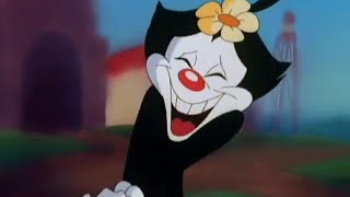 Animaniacs  Theme Song All Dot Endings [upl. by Niak702]