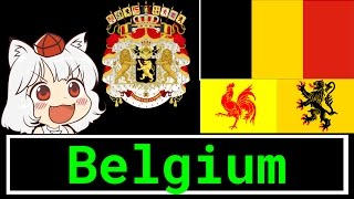 Everything Geography Every Belgium Flag Flanders Brussels Wallonia Gone Wrong [upl. by Dobb]