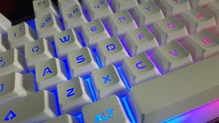 NEW KEYBOARD Review on the magegee keyboard [upl. by Fuller]