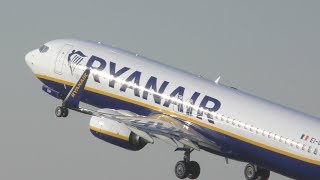 4K Ryanair 737800 LandingTakeoff Compilation EDLV [upl. by Anahsahs792]