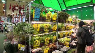 4K HDR｜台北建國花市｜Taipei Jianguo Holiday Flower Market [upl. by Evilo]