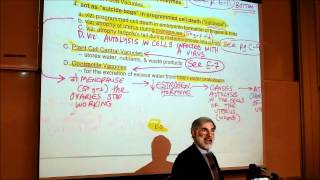 BIOLOGY CYTOLOGY PART 3 by Professor Fink [upl. by Assetak]