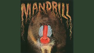 Mandrill [upl. by Eelloh]