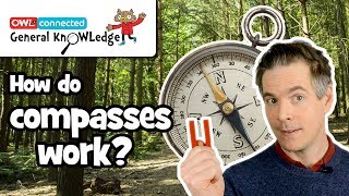 How does a compass work  General KnOWLedge [upl. by Ramiah]