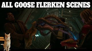 ALL GOOSE FLERKEN SCENES CAPTAIN MARVEL REALLY FUNNY [upl. by Ruffo]