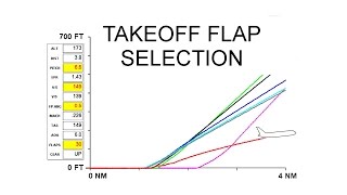 TAKEOFF FLAP SELECTION [upl. by Iel]