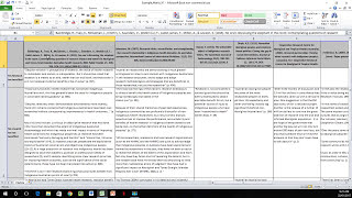 How to Create a Literature Matrix Excel [upl. by Anurag874]