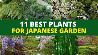 Top 11 Plants for a Japanese Zen Garden 👌 [upl. by Gittle]