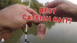 How To Catch Catfish From The Bank  Catfishing Bait Rigs amp Tips [upl. by Anauj]