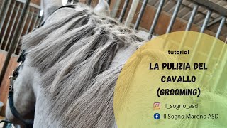 La pulizia del cavallo grooming  TUTORIAL [upl. by Pirzada692]