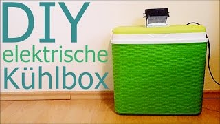 Elektrische Kühlbox selber bauen [upl. by Lashondra410]