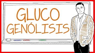 La Glucogenólisis [upl. by Norine]