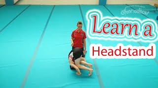 Head Over Heels Gymnastics Tutorials Learn a Headstand [upl. by Nossaj]