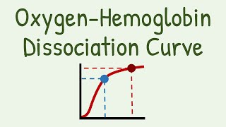 Oxygen Hemoglobin Dissociation Curve [upl. by Clarisa]