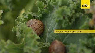 How Do Insecticides Work [upl. by Eiaj940]