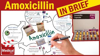 Amoxicillin with milk is it ok with dairy products [upl. by Nahoj]