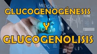 GLUCOGENOGÉNESIS Y GLUCOGENOLISIS [upl. by Ssyla]