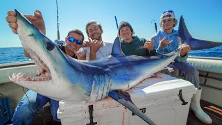 Mako SHARK Catch Clean Cook Offshore Fishing New York [upl. by Reese380]