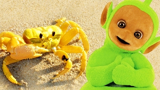 Teletubbies Digging In Sand  Crabs  134  Videos For Kids [upl. by Onitsoga651]