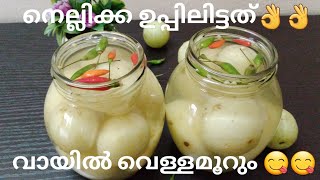 വായിൽ വെള്ളമൂറും നെല്ലിക്ക ഉപ്പിലിട്ടത്😋😋  Kerala style Nellikka Uppilittathu  Malayalam Recipe [upl. by Ji140]