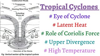 P12C10 What are TROPICAL CYCLONES 5 conditions for formation of Tropical Cyclones Eye of Cyclone [upl. by Lerak]