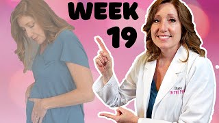 19 Week Ultrasound  Position of Baby at 19 Weeks Pregnant  What is Quickening [upl. by Ahsinek]