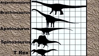 Dinosaur Size Comparison 2D [upl. by Ennoira]