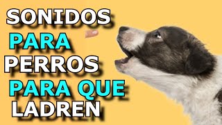 Sonido de Perro 🐶 🐶 Los mejores LADRIDOS DE PERROS 🐶 [upl. by Phaidra]