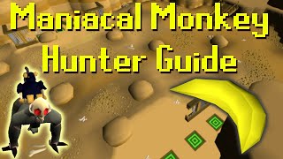 OSRS Most AFK Hunter Method Maniacal Monkeys  XPH [upl. by Neehahs]