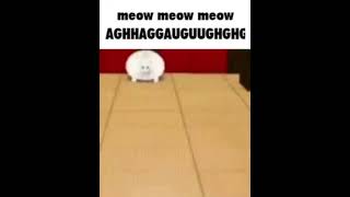 MEOW MEOW MEOW AGHHAGGAUGUUGHGHG [upl. by Aettam]