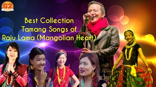 Raju lama tamang song Best Tamang Songs Collection [upl. by Ynar923]