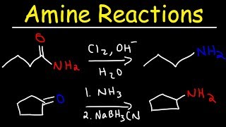 Amine Synthesis Reactions [upl. by Legra]