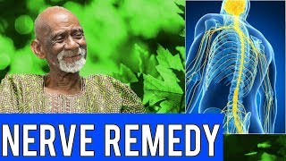 Dr Sebi  Natural Herbal Remedy For Nervous System [upl. by Avis598]