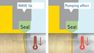 Basics of Contact Seals [upl. by Damon323]