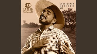 Zaino Manso [upl. by Quent]