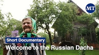 Welcome to the Russian Dacha  The Moscow Times [upl. by Seni]