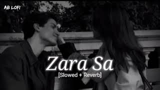 Zara Sa Slowed  Reverb Jannat  Emraan Hashmi  KK  AB LOFI [upl. by Cirderf165]