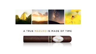 THE DAVIDOFF MADURO LIMITED RELEASE  Maduro cigar [upl. by Mohsen]