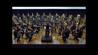 ORCHESTRA HYMNS BELÍSSIMA INTERPRETAÇÃO DOS HINOS CCB VOL 01 [upl. by Forrest]