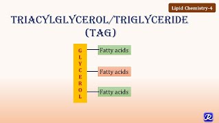 4 Triacylglycerol Triglycerides  Lipid Chemistry4  Biochemistry  NJOY Biochemistry [upl. by Namreh]