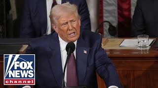 WATCH Trump makes joint address to Congress Democrats respond [upl. by Janice]