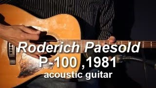 Roderich Paesold P100 Acoustic Guitar 1981 demo [upl. by Lubin]