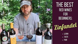 The Best Red Wines for Beginners 7 Zinfandel [upl. by Isawk169]