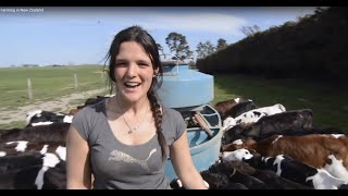 Farming in New Zealand [upl. by Nnaael57]