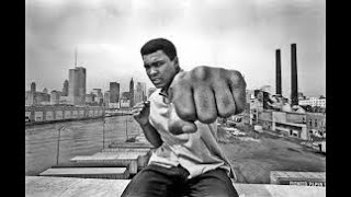 Muhammad Ali  Biography Bouts Record amp Facts [upl. by Devonna962]