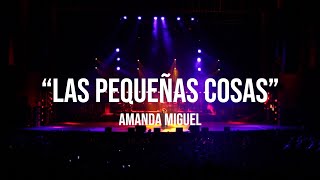 Amanda Miguel  Las Pequeñas Cosas En Vivo Desde El Auditorio Nacional [upl. by Stuart]