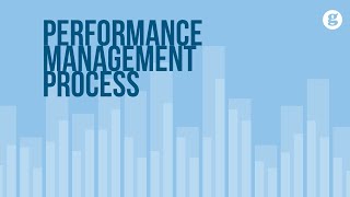 Performance Management Process [upl. by Ajiak]