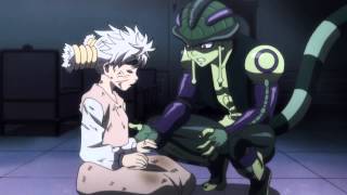 AMV Hunter x Hunter  King Again [upl. by Atile]